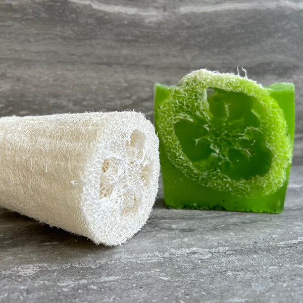 Lime & Coconut - Winter Skin Care Pack - Loofah
